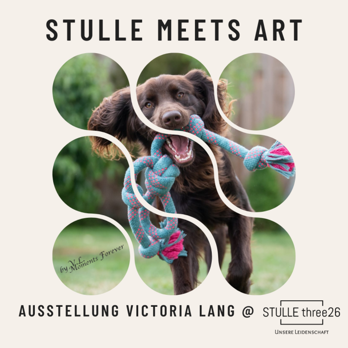 8c4ee170-819d-482e-a26b-69d9342dd9d1